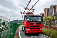 24座智狼现全球规模最大摆设